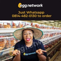 Egg network 